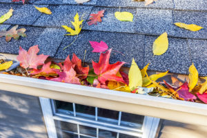 Fall Home Maintenance Checklist for your Seattle, WA home