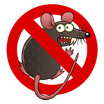 Rodent Damage Coverage for your car in Seattle, WA