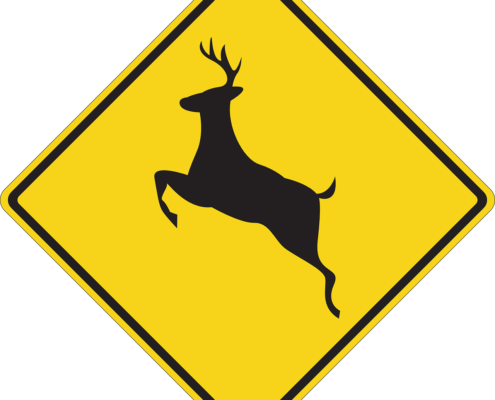 How to lower your risk for a deer collision