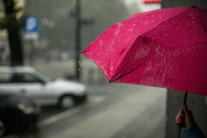 commercial umbrella insurance in Seattle, WA