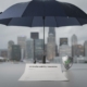 Umbrella Liability Insurance In Seattle: Do You Need It?